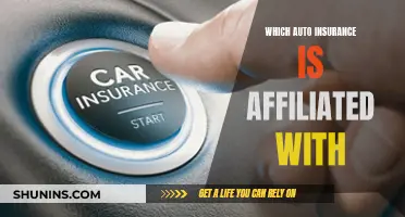 Auto Insurance: Best Affiliated Options for You