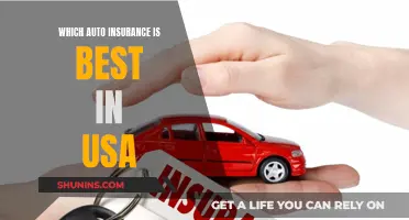 Best Auto Insurance in the USA: Top Picks and Why