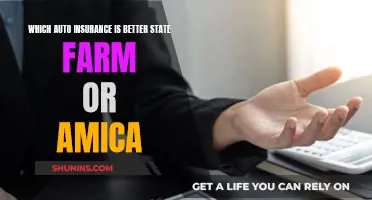 State Farm vs Amica: Which Auto Insurance is Best?