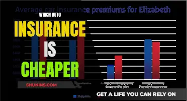 Auto Insurance: Cheap vs Expensive