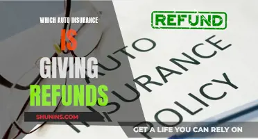 Auto Insurance Refunds: Who's Giving Back and How to Get It