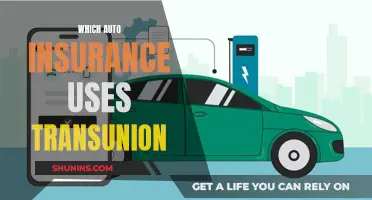 Transunion and Auto Insurance: Who's Using the Credit Bureau?