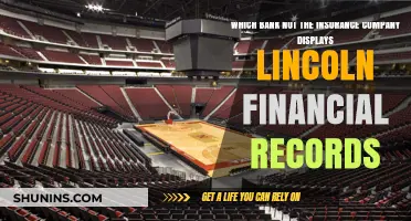 Which Bank, Not Insurance Firm, Shows Lincoln Financial Records?