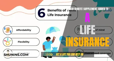 Life Insurance: Maximizing Benefits with Supplemental Coverage