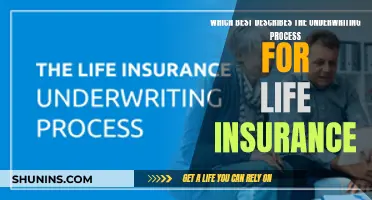 The Underwriting Process: Life Insurance Explained