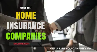 Top Home Insurance Companies: Protecting Your Property and Peace of Mind