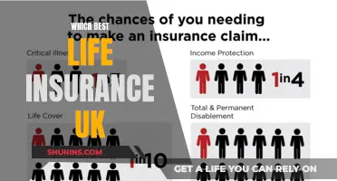 Navigating the UK's Best Life Insurance Options: A Comprehensive Guide