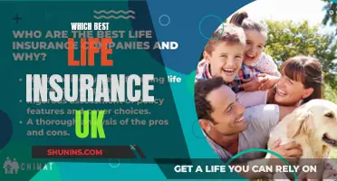 Best Life Insurance in the UK: Top Picks