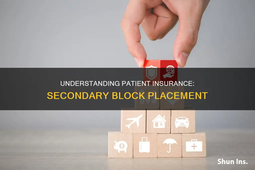 which block does the patient secondary insurance go in