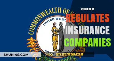 Who Oversees Insurance Companies? Understanding Regulatory Bodies and Their Roles