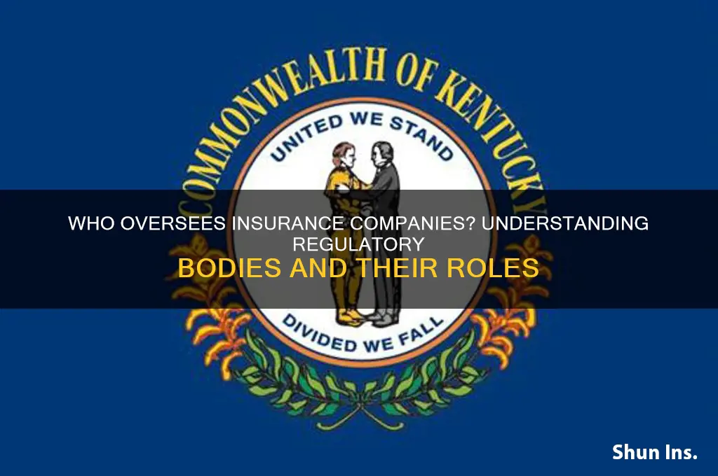 which body regulates insurance companies