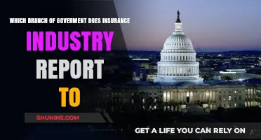 Insurance Industry Oversight: Which Branch Governs?