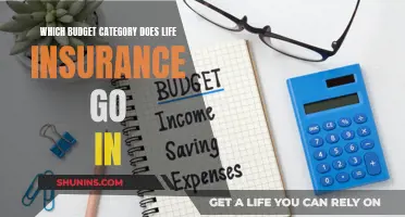 Life Insurance: Where Does It Fit in Your Budget?