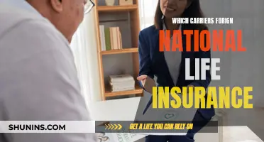 Foreign Nationals and Life Insurance: Carrier Options Explored