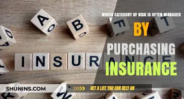 Managing Risks: Insurance as a Safety Net