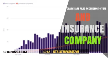 Annual Insurance Claims Breakdown: Trends by Company and Year