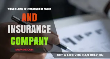 Monthly Insurance Claims Breakdown: Organized by Company and Date