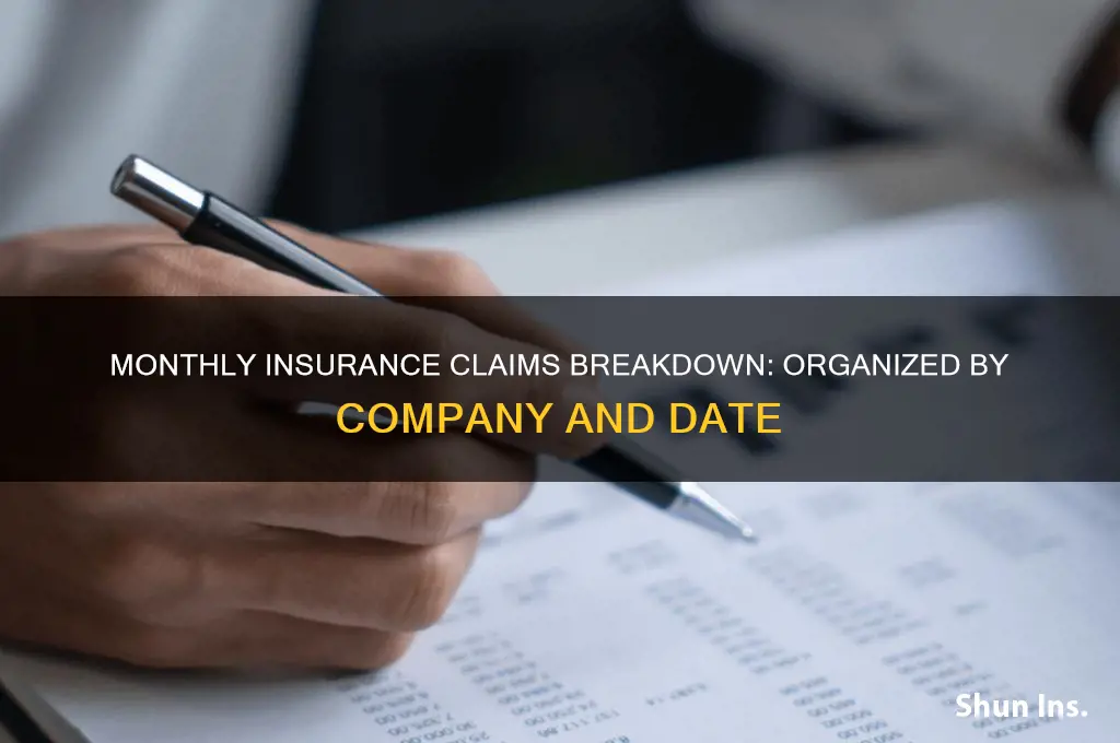 which claims are organized by month and insurance company