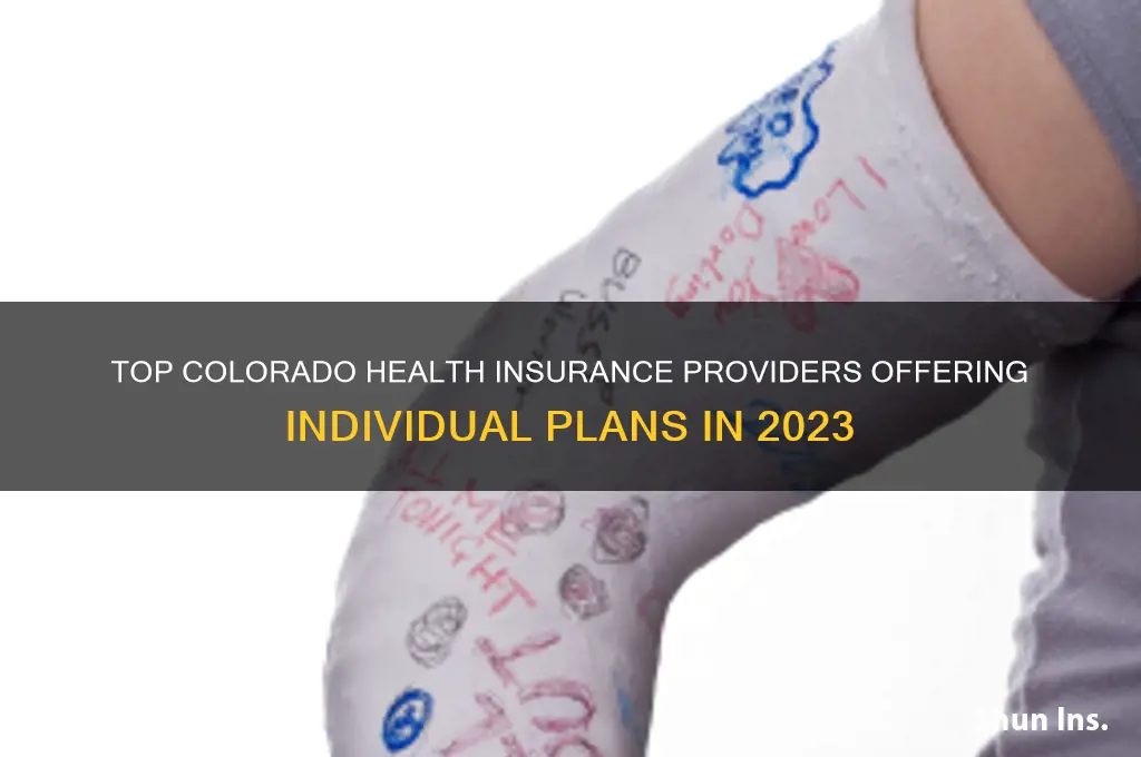 which colorado health insurance companys do individual plans
