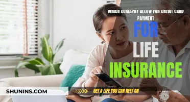 Credit Card Life Insurance: Which Companies Allow This?