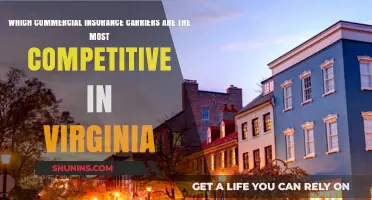Virginia's Top Commercial Insurance Carriers Revealed