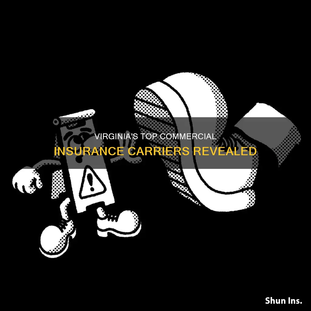 which commercial insurance carriers are the most competitive in Virginia