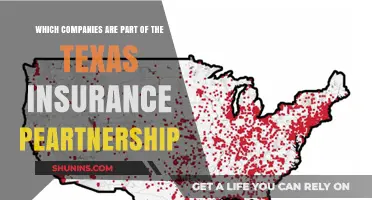 Texas Insurance Partnership: Key Companies Shaping the Industry