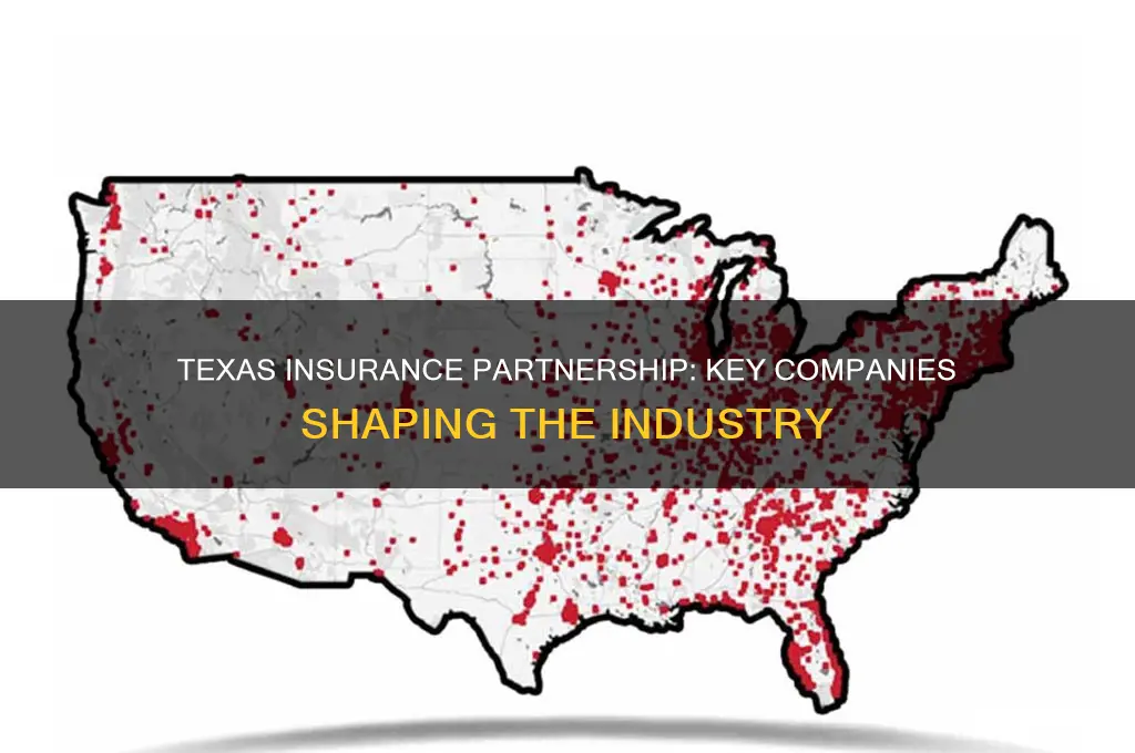 which companies are part of the texas insurance peartnership