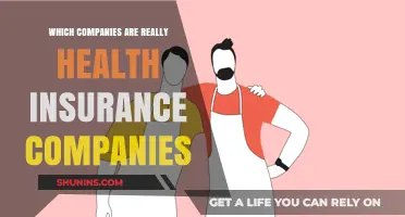 Unveiling the Truth: Which Companies Dominate Health Insurance?