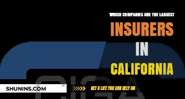 Top California Insurers: Leading Companies Dominating the Golden State's Market