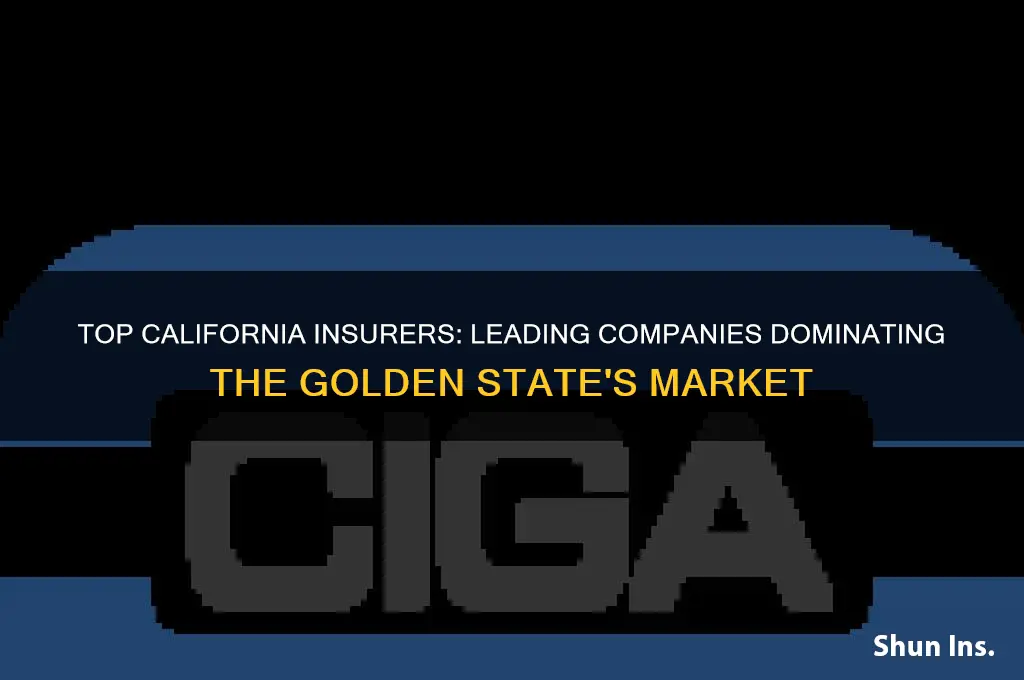 which companies are the largest insurers in california