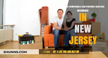 Top Renters Insurance Providers in New Jersey: Your Comprehensive Guide