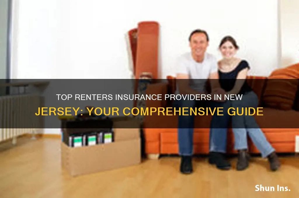 which companies can provide renters insurance in new jersey