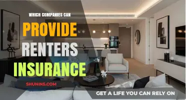 Top Companies Offering Affordable Renters Insurance Policies Nationwide