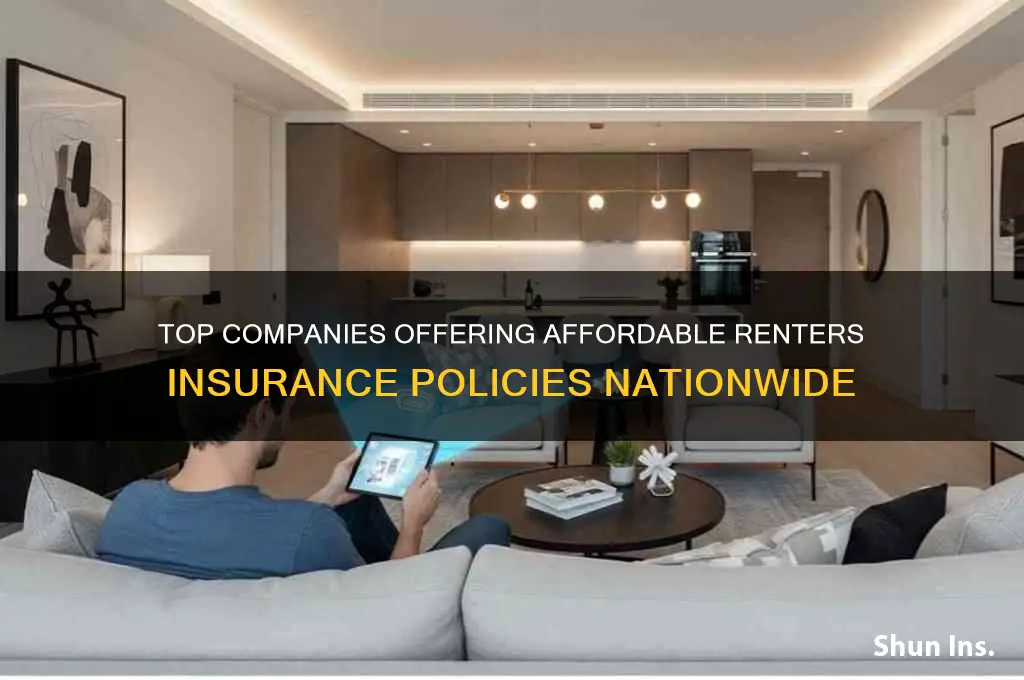 which companies can provide renters insurance