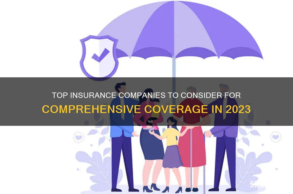 which companies for insurance