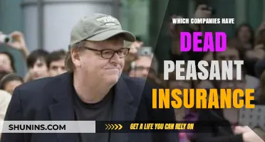Unveiling Corporate Dead Peasant Insurance Policies: Which Companies Own Them?