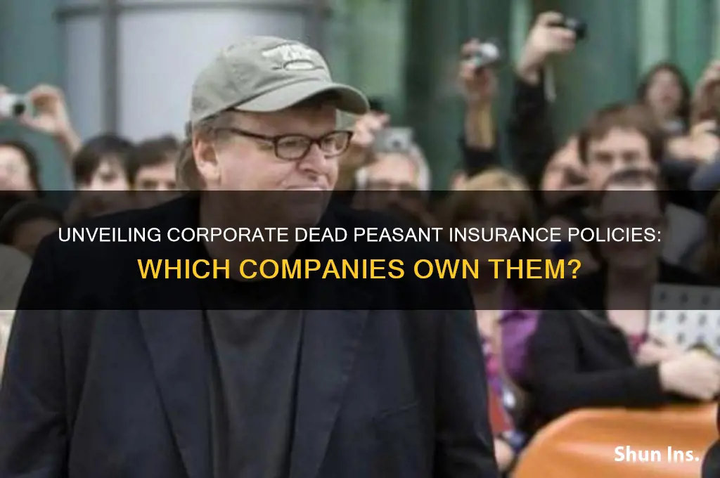 which companies have dead peasant insurance