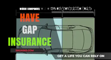 Top Companies Offering Gap Insurance: Protect Your Vehicle Investment