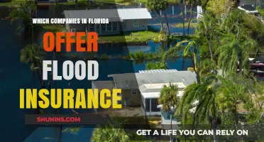 Florida Flood Insurance: Top Companies Offering Coverage in the Sunshine State