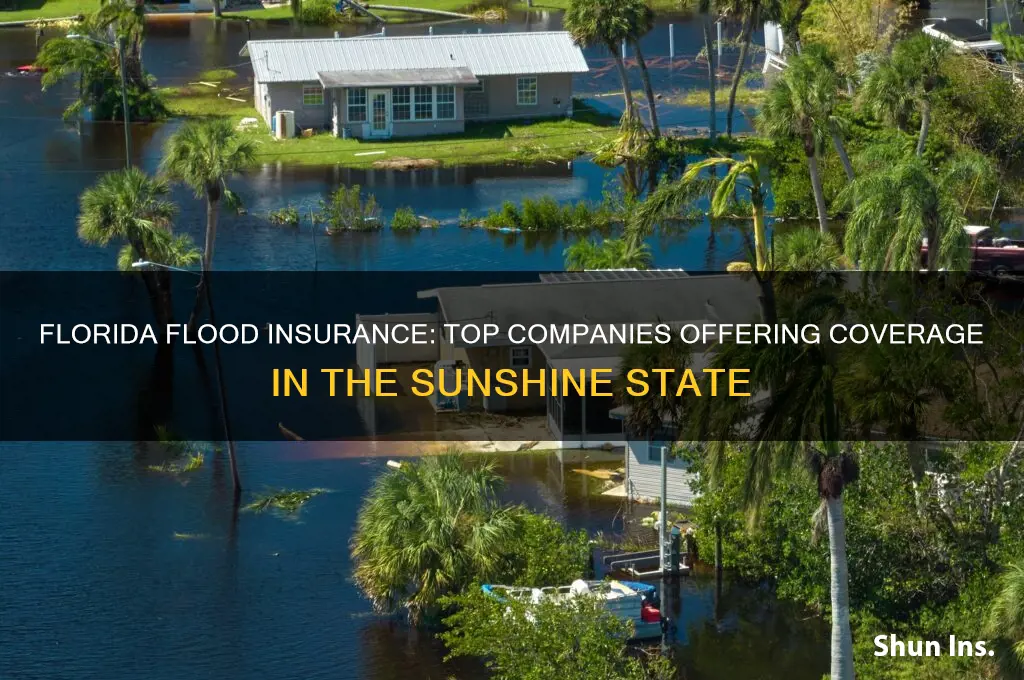 which companies in florida offer flood insurance