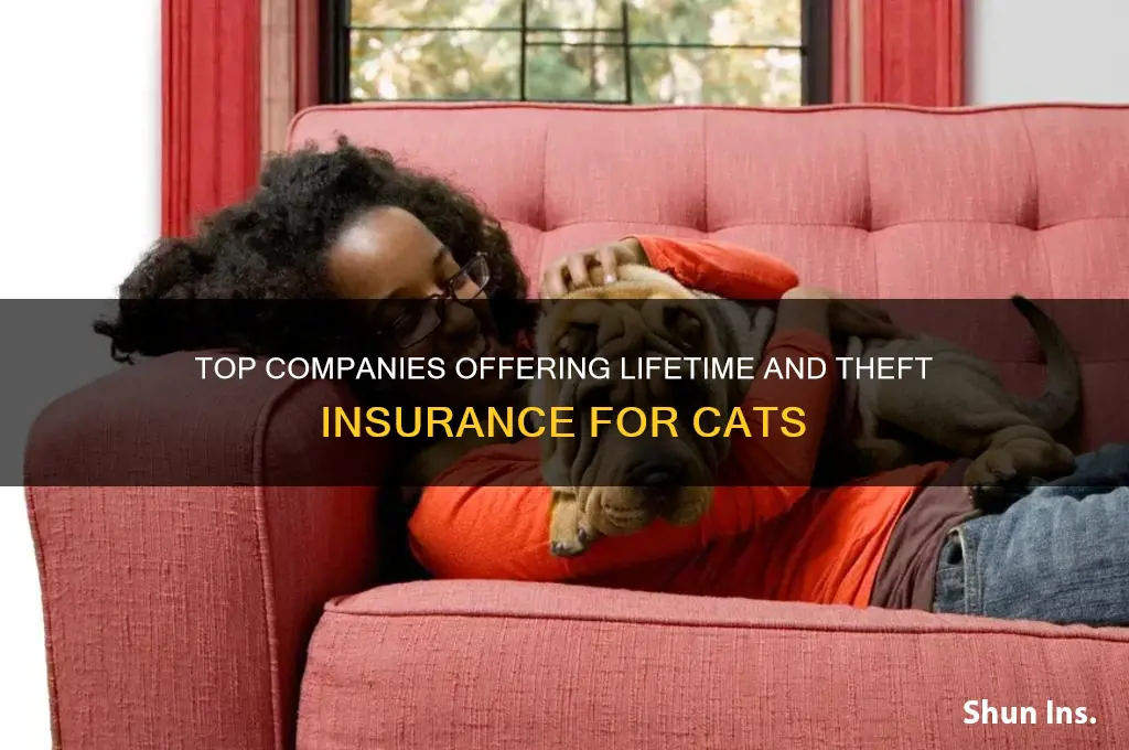 which companies insurance cats for life and theft