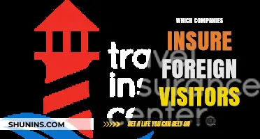 Travel Insurance Options: Companies Covering Foreign Visitors Abroad