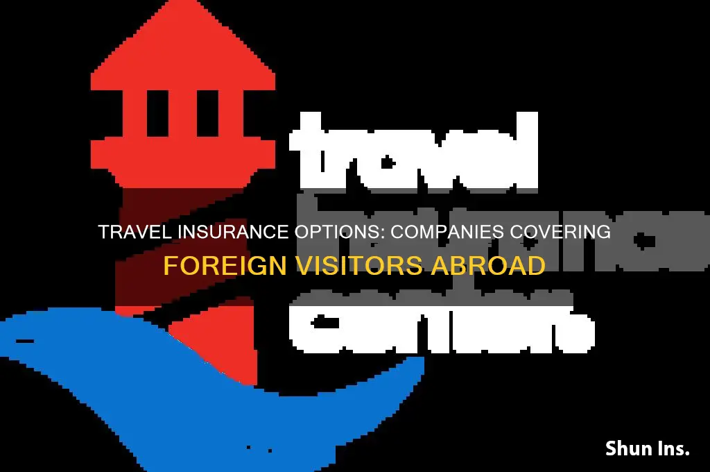 which companies insure foreign visitors