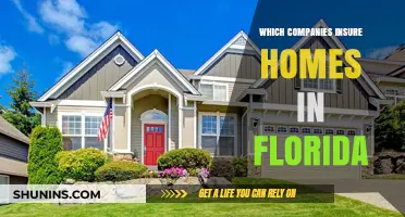 Top Florida Home Insurance Providers: Who Covers Your Property?