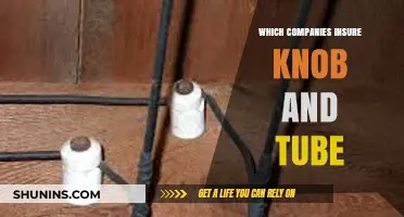 Companies Offering Knob and Tube Wiring Insurance: A Comprehensive Guide