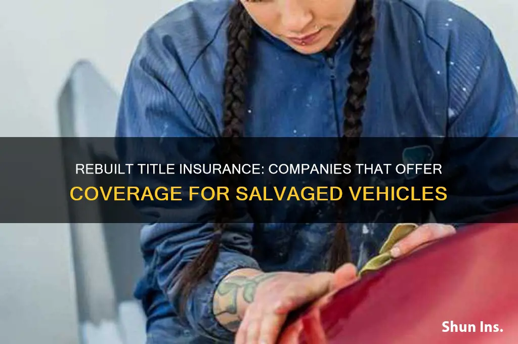 which companies insure rebuilt titles