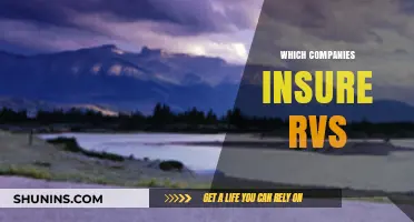 Top RV Insurance Providers: Companies That Protect Your Mobile Home