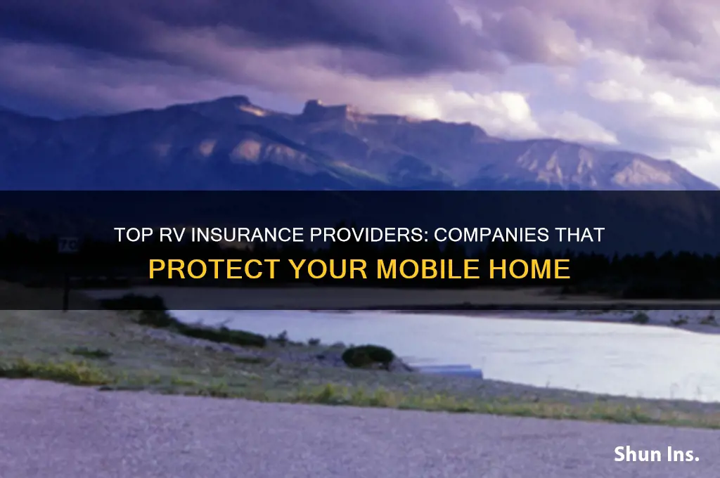 which companies insure rvs