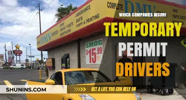 Temporary Permit Drivers: Which Insurance Companies Offer Coverage?